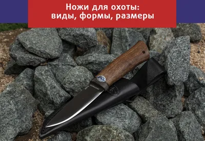Ножи с удивительными формами | Лучшие статьи, обзоры и новости -  Forest-Home.ru
