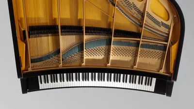 A Piano With a Curved Keyboard Will Star at Carnegie Hall - The New York  Times