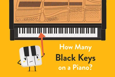 How Many Black Keys on a Piano? - Hoffman Academy Blog