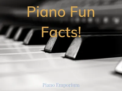Уроки игры на фортепиано | Игра на фортепиано