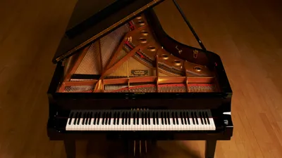 Pianos - Musical Instruments - Products - Yamaha USA