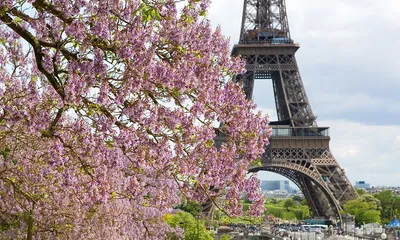 Эйфелева башня, Париж, Франция скачать фото обои для рабочего стола  (картинка 2 из 2)