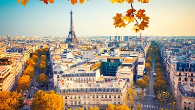 Франция ориентирует законодательство на новые экологические цели ЕС, но не  поспевает выполнять задачи 2022 года