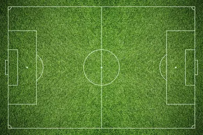 Футбольное поле | Лунтик Wiki | Fandom
