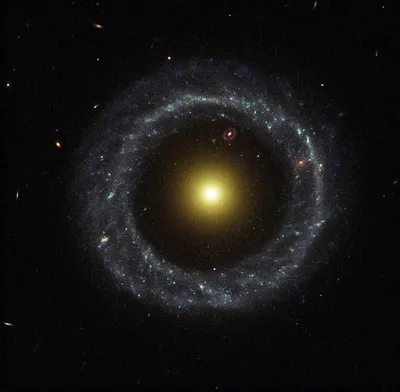 Джеймс Уэбб» запечатлел кольцеобразную галактику Колесо Телеги | РБК Life