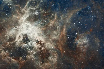 Видим ли мы звезды других галактик?