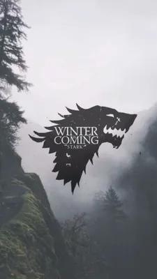Game Of Thrones Stark Iphone Wallpaper - Best Wallpaper HD | Game of thrones  winter, Winter is coming, Game of thrones poster