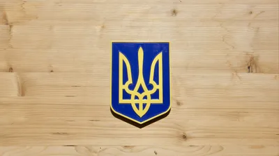 Рада поддержала большой Герб Украины в 1-ом чтении. Где его хотят  использовать | Українські Новини