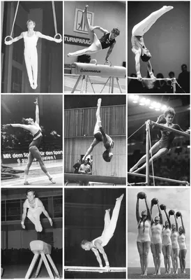 Художественная гимнастика – Спортивная школа «РУССКИЙ МЕДВЕДЬ»