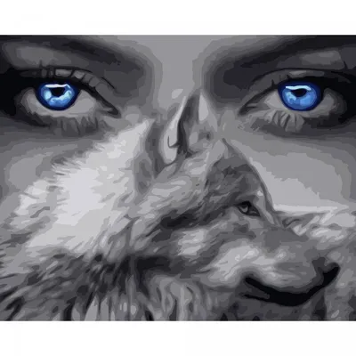 Глаза волка стоковое изображение. изображение насчитывающей конец -  122001111