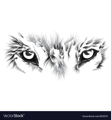 морда волка с карими глазами, картинка серый волк, волк, животное фон  картинки и Фото для бесплатной загрузки