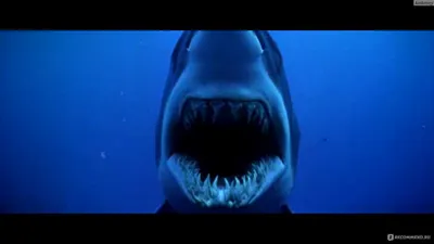 Глубокое синее море (фильм, 2011) смотреть онлайн в хорошем качестве HD  (720) / Full HD (1080)