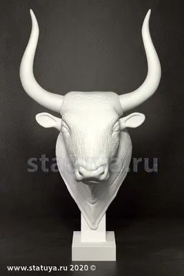 Черная голова быка или быка изолированную над белой иллюстрации вектора  фона Иллюстрация вектора - иллюстрации насчитывающей ново, ангстрома:  209644425