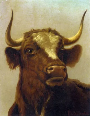 Декоративное панно голова быка купить недорого, цены от производителя 6 970  руб.