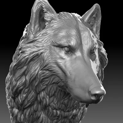 Голова волка зентангл голубые синие…» — создано в Шедевруме