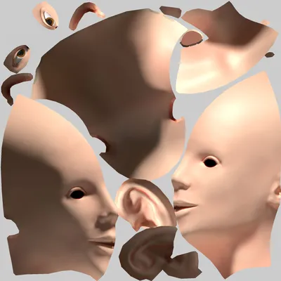 Голова человека Женская анатомия в разрезе Lowpoly AR VR mobile 3D Модель  $150 - .fbx - Free3D