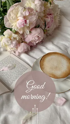 🌹GOOD MORNING FRIENDS 🤗HAVE A NICE DAY 💐 Images • Fatima 💕873 (@87387e)  on ShareChat