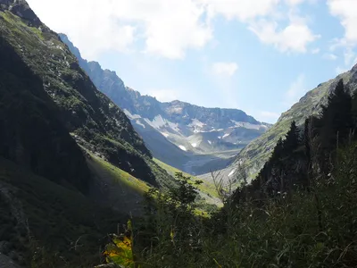 Горы Кавказа» — создано в Шедевруме