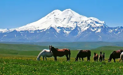 Девять чудес Кавказа