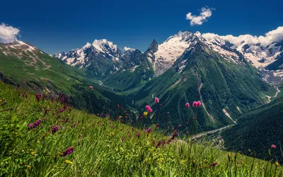 Горы Кавказа в республике абхазии Стоковое Изображение - изображение  насчитывающей гора, камни: 88321907
