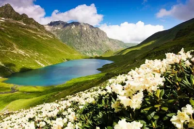 Горы Кавказа скалистые стоковое изображение. изображение насчитывающей  ландшафт - 40321713