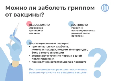 Береги здоровье – сделай прививку от гриппа! :: Петрозаводский  государственный университет