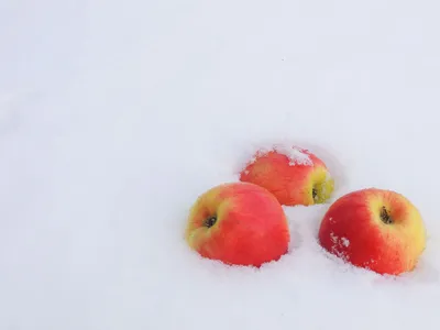 Сочные яблоки на тарелке на белом деревянном столе :: Стоковая фотография  :: Pixel-Shot Studio