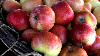 Беларусь вошла в число стран с самыми низкими ценами на яблоки – рейтинг