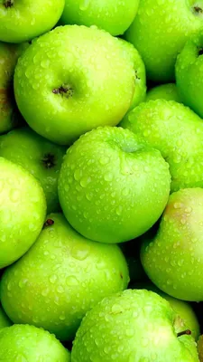зеленые яблоки с лимонами и оливковым деревом Фон Обои Изображение для  бесплатной загрузки - Pngtree