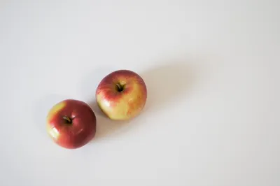 В Казахстане 100 тыс. тонн яблок осталось в садах - 12.12.2022, Sputnik  Казахстан