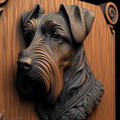 Ягдтерьер (фото): норная собака для охоты Смотри больше  http://kot-pes.com/yagdterer-foto-nornaya-sobaka-dlya-oxoty/ | Patterdale  terrier, Boxer dogs, Hunting dogs