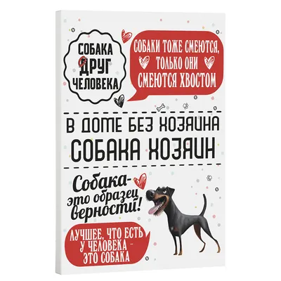 Раскраски собака ягдтерьер (47 фото) » Картинки, раскраски и трафареты для  всех - Klev.CLUB