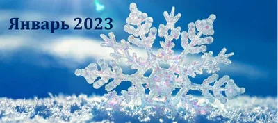 Гороскоп на январь 2022 года по знакам зодиака: что ждать во втором месяце  зимы?