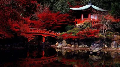 Японский пейзаж (58 фото) | Пейзажи, Киото, япония, Киото