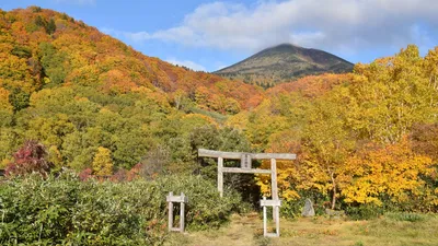 Купить фотообои Японский пейзаж. Категория: Сад. Артикул №dec_3650 |  ABC-Decor