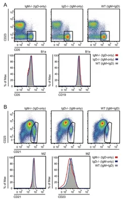 IgM Antibody FITC (RPab) - Bio SB
