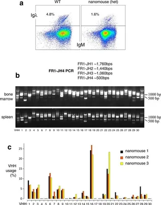 Total antibody (IgG and IgM) SARS-CoV-2 N protein ELISA Kit Elisa Kit  KE30005 | Proteintech