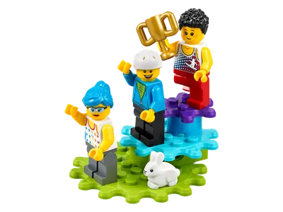 Конструктор LEGO Коллекционные наборы Ледяной фестиваль на Лунный новый год  80109 - купить с доставкой по выгодным ценам в интернет-магазине OZON  (731385398)