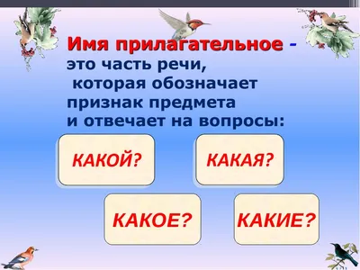 Русский язык в 5 классе: Имя прилагательное