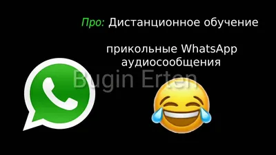 Большое обновление WhatsApp исправит множество проблем для любителей  голосовых сообщений
