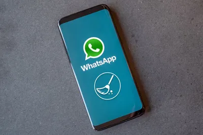 WhatsApp стикеры. Прикольные животные – скачать приложение для Android –  Каталог RuStore