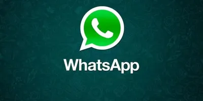 WhatsApp: интересные функции, о которых вы могли не знать | wsender.ru |  Дзен