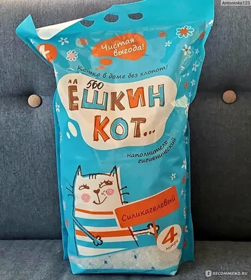 Как будет \"Ёшкин кот\" на немецком? | Sveta Rudek | немецкий язык | Дзен