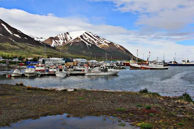 Iceland 2024: Best Places to Visit - Tripadvisor