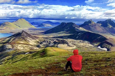 Гид по острову Исландия: где находится и как добраться, что посмотреть  самостоятельно и какие места посетить, описание и интересные факты — Яндекс  Путешествия
