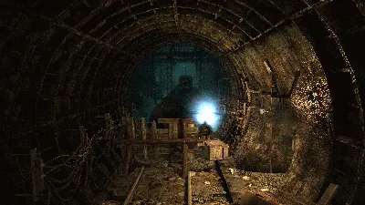 One detail that i like in Metro 2033 is when Artyom found a kid and he's  carrying him in his back and if you check Artyom' shadow the little boy can  be