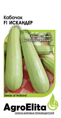 Кабачок цуккини Сундучок здоровья 1г, семена | Купить в интернет магазине  Аэлита