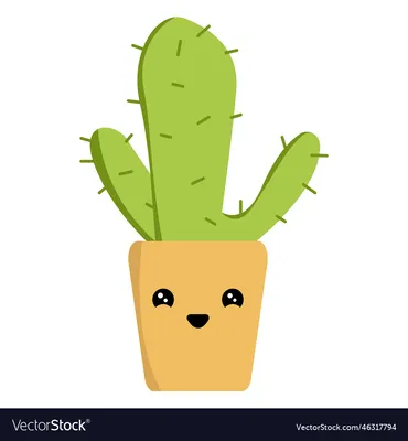 Astrophytum Caput Medusae (#M4) | Cactus Indoors | Live Rare Cactus –  Lvjungle