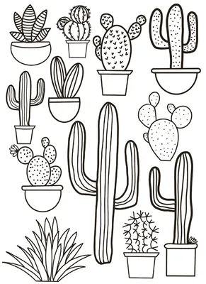 Cactuses Green On Pink Vector Seamless Pattern - A Group Of Cactus Plants  by HEBSTREIT