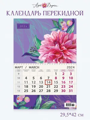 Календарь на 2024 год стикеры для ежедневника набор наклеек на телефон  ноутбук - купить с доставкой по выгодным ценам в интернет-магазине OZON  (1149809493)